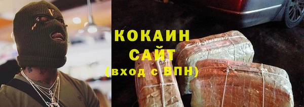 тгк Алзамай