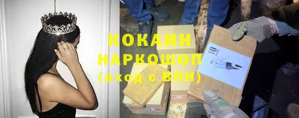 мдпв Костерёво