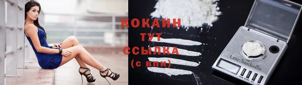 дурь Коряжма