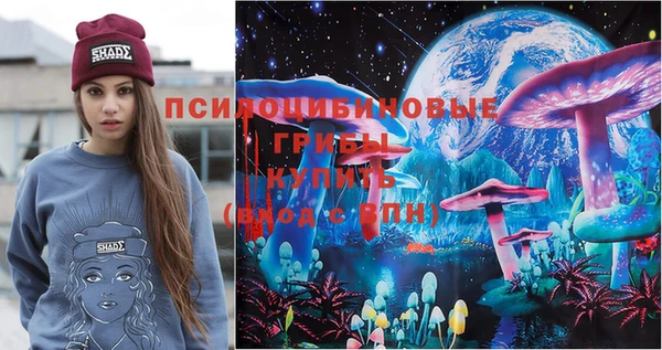 дурь Коряжма